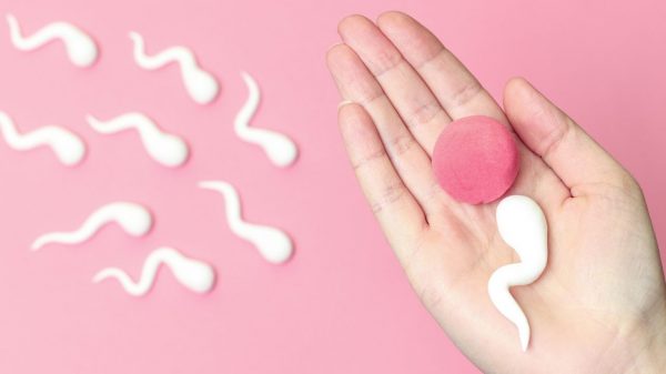 Inseminação caseira: saiba os riscos do método para engravidar