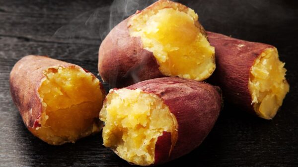 Conheça os diferentes tipos de batata