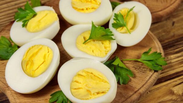 Veja como fazer um bom ovo cozido
