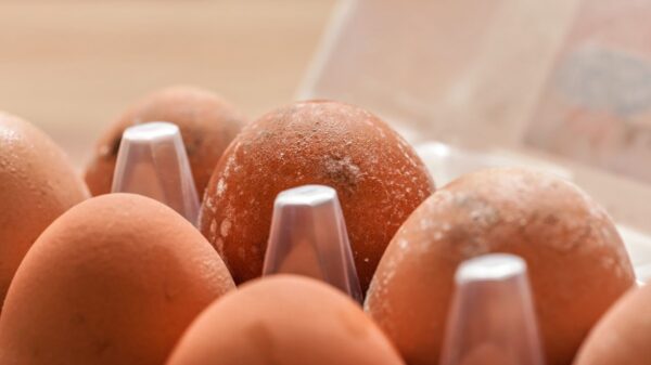 Alguns truques fáceis ajudam a descobrir se o ovo está ou não estragado; veja agora as nossas dicas!